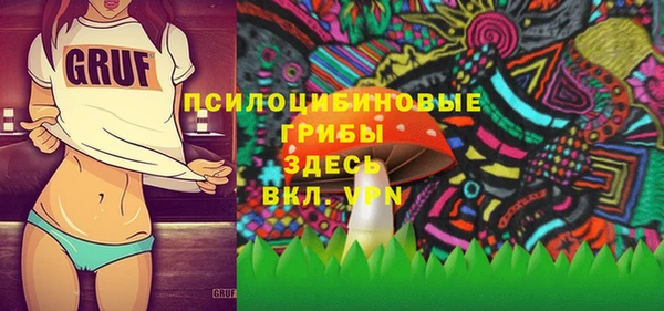 apvp Вяземский