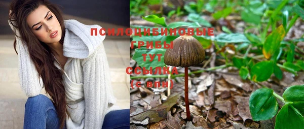 MDMA Вязьма