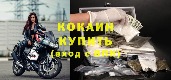 apvp Вяземский