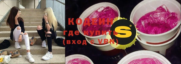 apvp Вяземский
