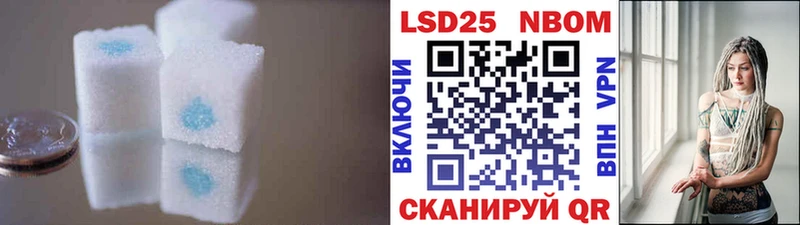 где купить наркотик  Щучье  ЛСД экстази кислота 