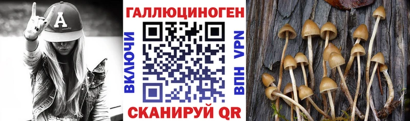 Галлюциногенные грибы ЛСД  Щучье 